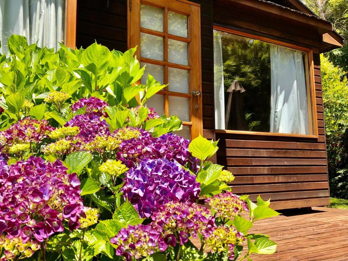 Cabanas Monte Verde Pucón Exteriér fotografie